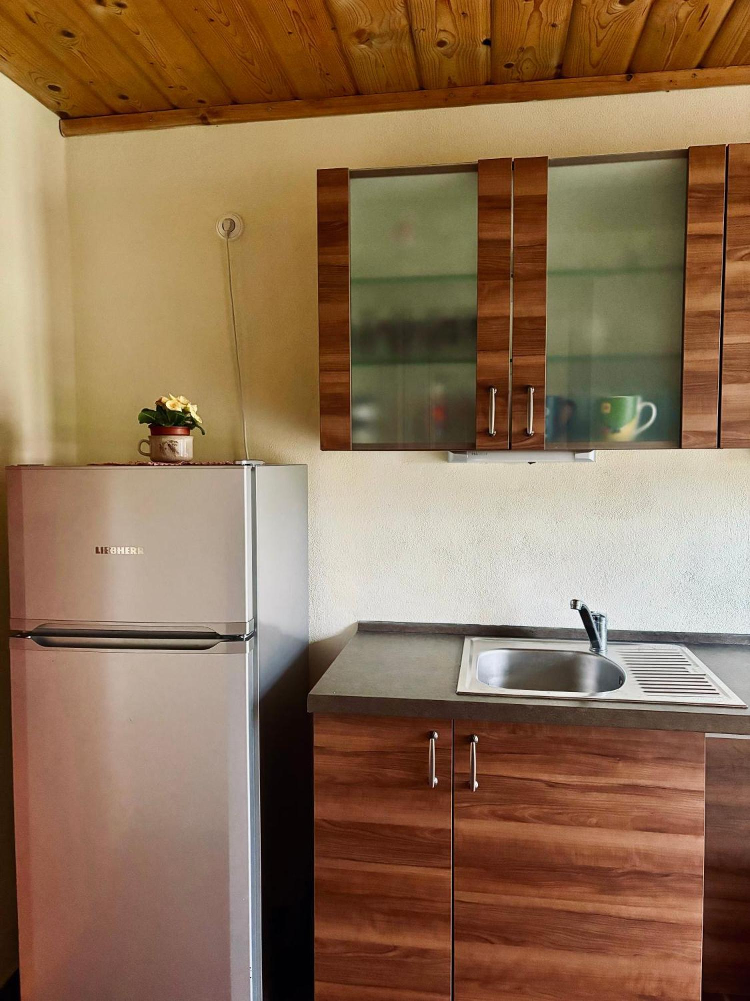Apartmany Penzion Katerina Nadejkov Exterior photo